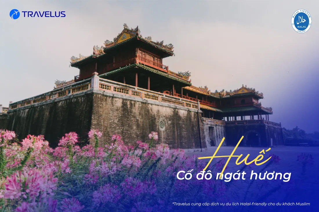 Hình ảnh hành trình