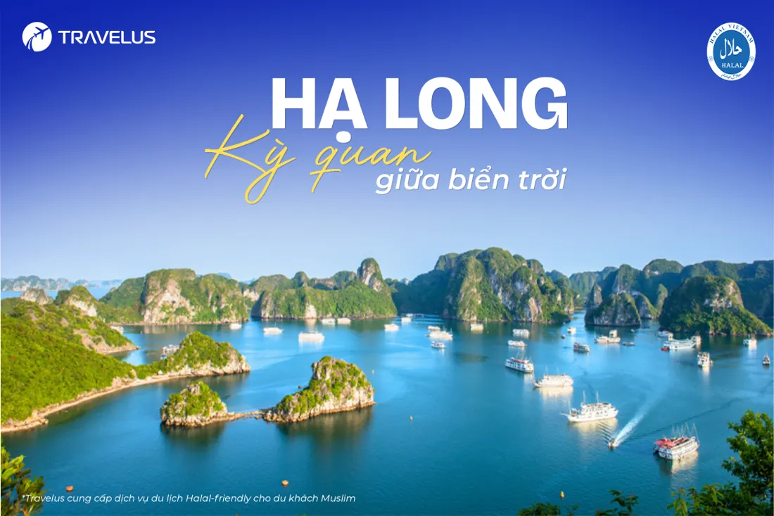 Hình ảnh hành trình