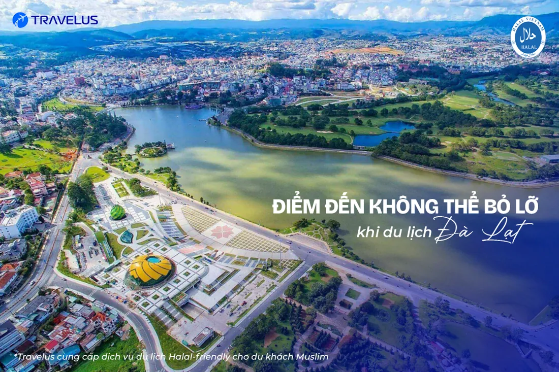 Hình ảnh hành trình