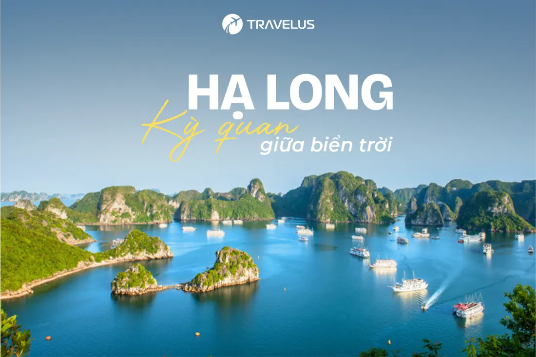 Hình ảnh hành trình