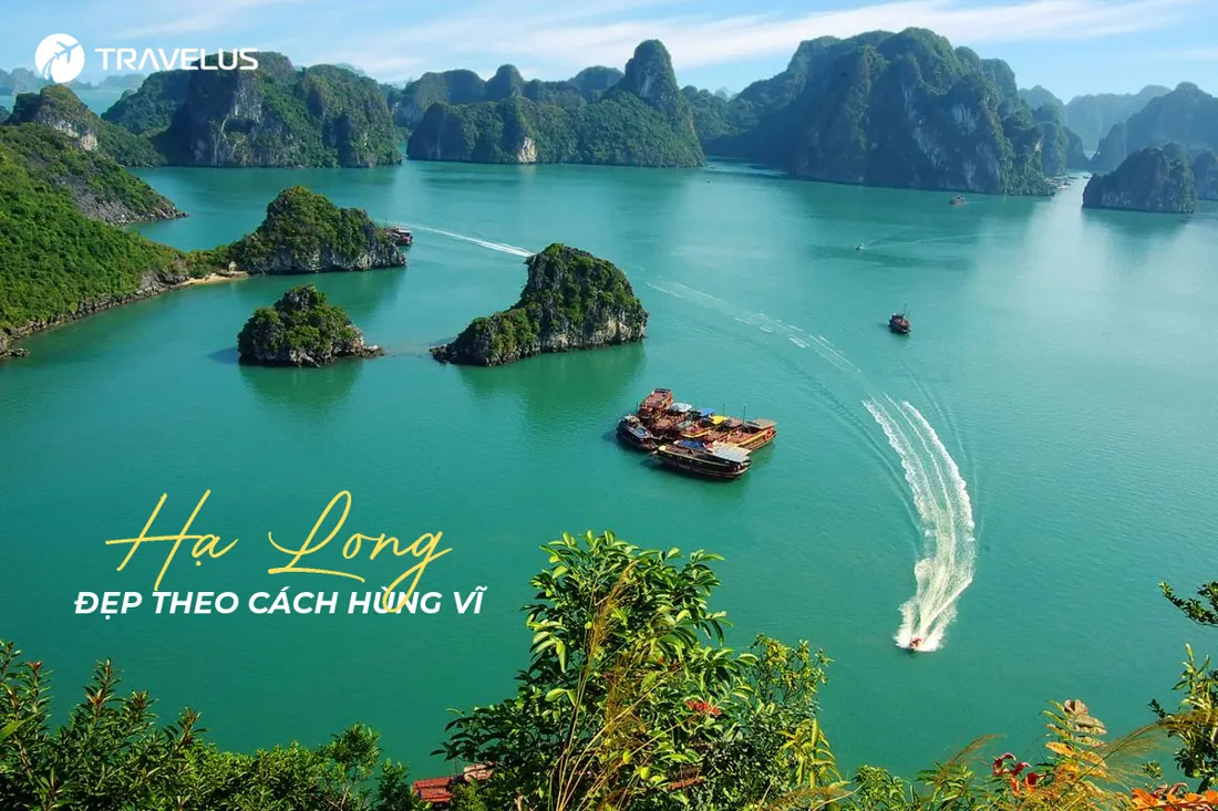 Hình ảnh hành trình